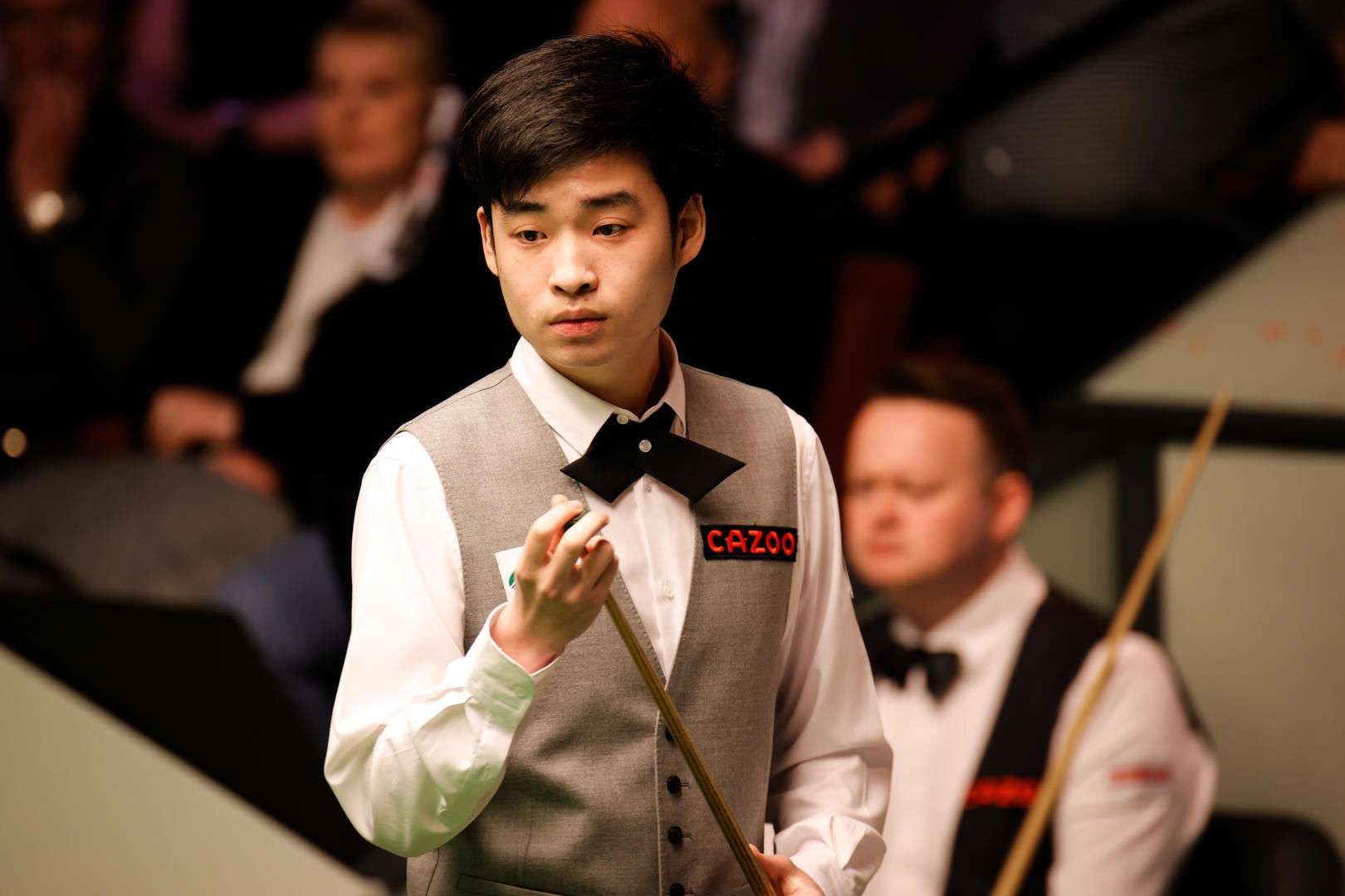 了一个全新 了一个全新