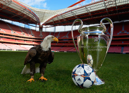 休城将从潜 休城将从潜